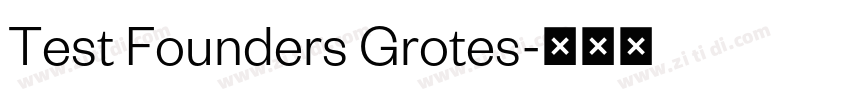 Test Founders Grotes字体转换